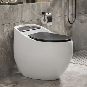 Bồn cầu trứng trắng nắp đen Pesar K42
